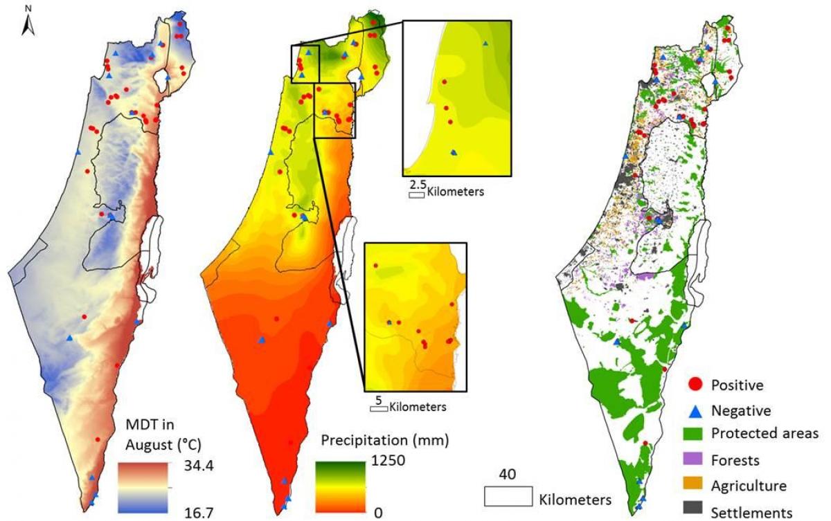 мапа Ізраїлю клімату